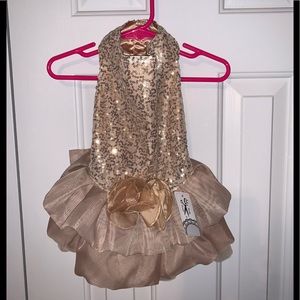 Buffy Design sequined dog formal